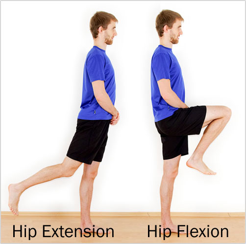 Image result for hip flexion extension